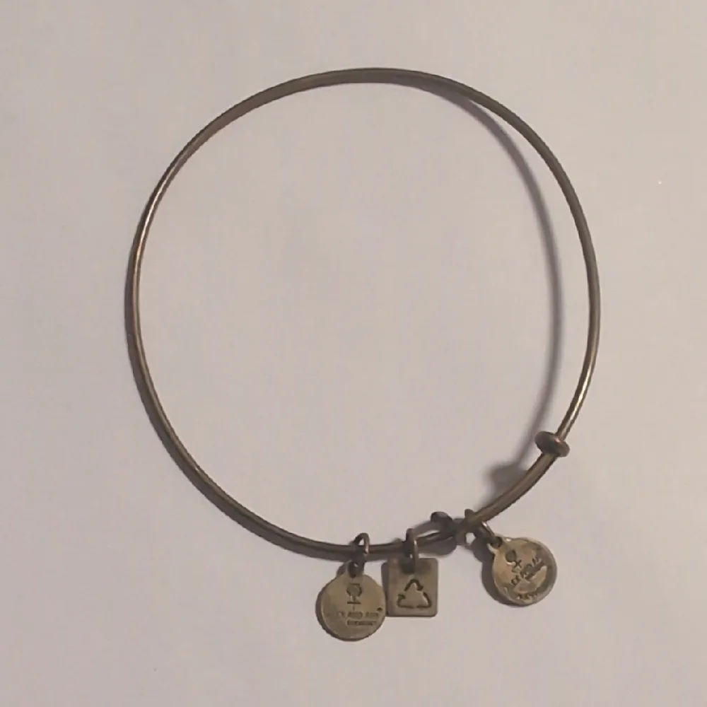Alex and Ani Gold Expandable Charm Bracelet Made With 🩵 Charm‎ Healing Bracelet